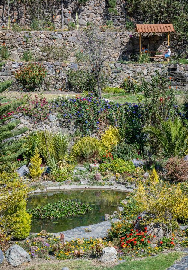 Sol Natura Hotel أويانتيتامْبو المظهر الخارجي الصورة
